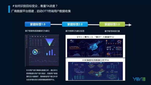 2018年中國OTT市場(chǎng)發(fā)展與營銷研究報(bào)告 數(shù)字廣告發(fā)布的全景透視